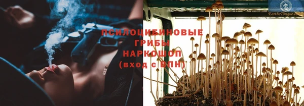 дживик Коряжма