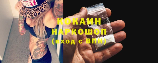 дживик Коряжма