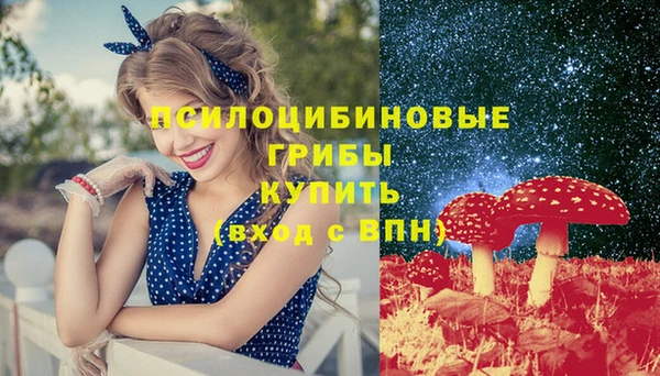 хмурый Костерёво