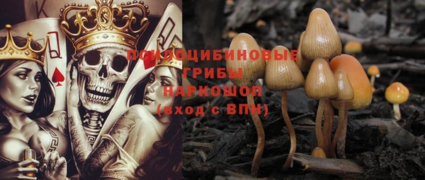 хмурый Костерёво