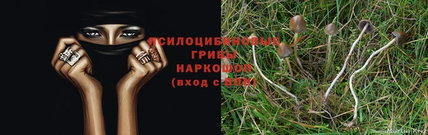дживик Коряжма