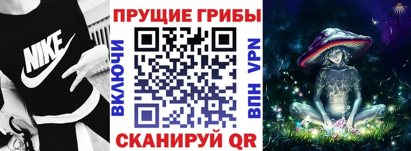 Галлюциногенные грибы Psilocybine cubensis Талица