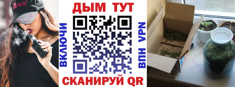 Марихуана Bruce Banner  Талица 
