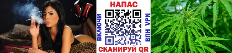 Канабис White Widow Талица